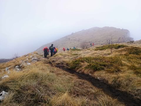 Read more about the article Trem